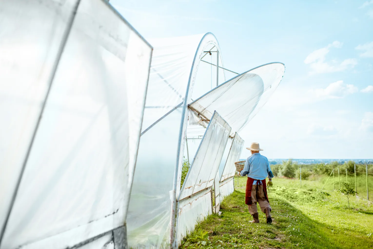 agricultural-farm-with-greenhouses-and-senior-man